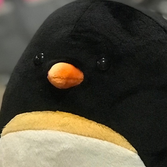 Meet your Posher, Zachary - Picture 1 of 1